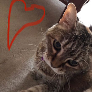 Meet your Posher, Shelley